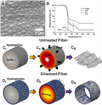 Inverting Thermal Degradation (iTD) of Paper Using Chemi- and Physi-Sorbed Modifiers for Templated Material Synthesis